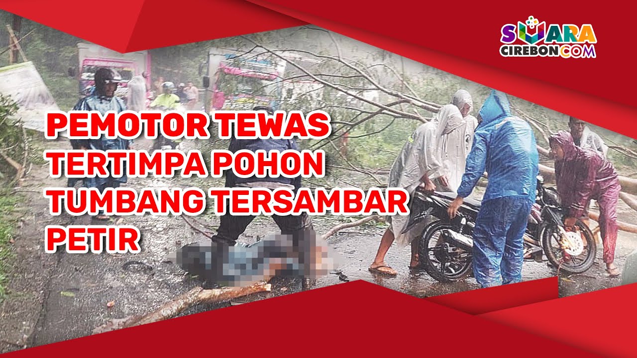 Pemotor Tewas Tertimpa Pohon Tumbang Tersambar Petir