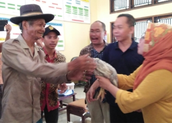 208 Warga Palbar Diguyur Bantuan Ayam