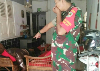 Geger Mayat yang Sudah Membusuk di Adidharma