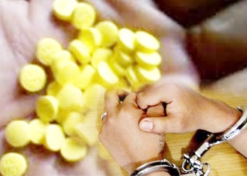 Jual Pil Dextro, Nenek di Losari Dicokok Polisi