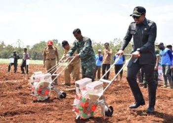 Produksi Kedelai Masih Rendah