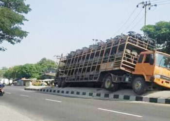 Truk Tronton Bermuatan Sepeda Motor Nangkring di Median Jalan