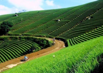 Wabup Ajukan Terasering Panyaweuyan ke FAO