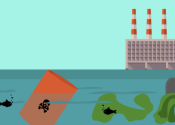 DLH Diam, Bupati Bertindak