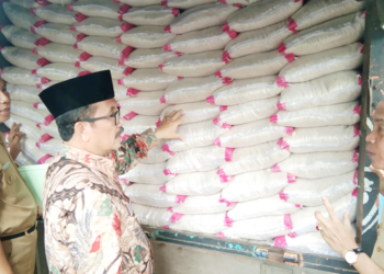7 dari 16 Desa Rawan Pangan Diguyur Bantuan Beras, Bupati Ajak Partisipasi Dermawan