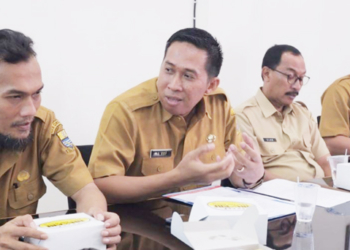 Pendirian Menara Komunikasi Bukan Kewenangan DKIS