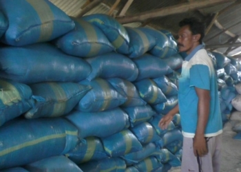 Petani Garam Terpuruk