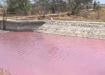 Kompak Soal Sungai Pink