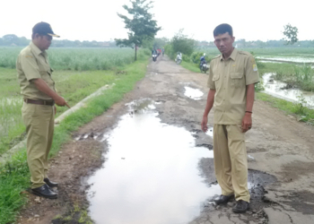 Jalan Hubung Japura Kidul dan Japura Lor Rusak Berat