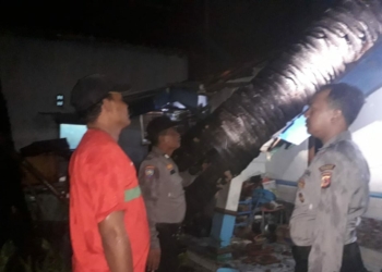 Tertimpa Pohon Besar, Balita 7 Bulan Alami Luka Lebam