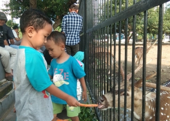 Mengintip Senja di Gedung Negara, Ada Apakah?