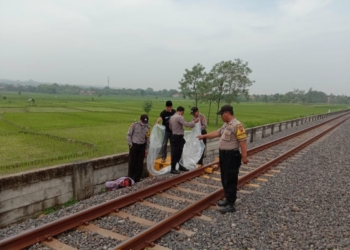 Pejalan Kaki Ditabrak KA Hingga Tewas