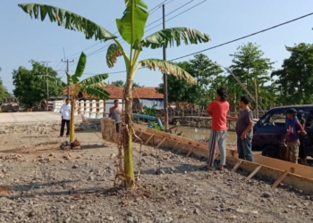 Warga Terganggu Pengerjaan Proyek Jembatan Tak Sesuai Target, Kuwu Kesal, Lokasi Ditanami Pohon