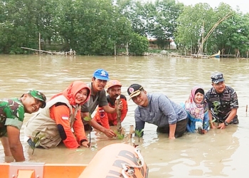Cegah Bencana Alam, 5 Ribu Pohon Mangrove Ditanam di Bantaran Sungai Winong