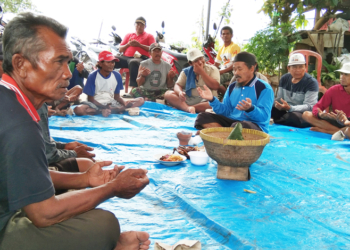 Pertama Kali dalam 5 Tahun Hasil Panen Cabe Merah Untung Besar, Petani Bayalangu Syukuran