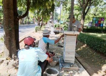 Percantik Pusat Pemerintahan, DLH Kabupaten Cirebon Pasang Lampu Taman