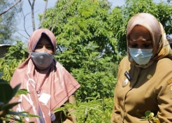 Kota Cirebon Tingkatkan Ketahanan Lewat Urban Farming