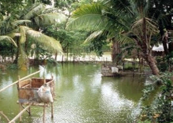 Tahun Ini Majalengka Targetkan Bebas ODF