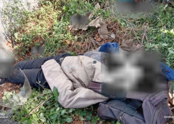 Tabrak Pohon, ABG dan yang Diboncengnya Tewas