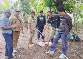 Surat Kepemilikan di Tanah Bengkok Desa Mundu Mesigit Dibekukan, Warga Tuntut Keadilan