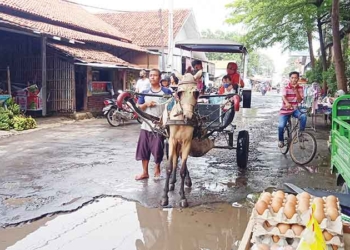 Ada 1240,3 KM, Ini Data Jalan yang Menjadi Kewenangan DPUPR Kabupaten Cirebon