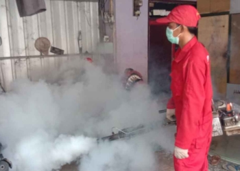 Pemdes Astapada Lakukan Fogging