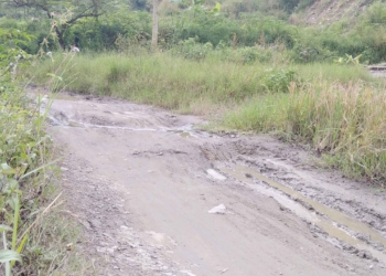 DPUTR Majalengka Bungkam Soal Jalan Tak Pernah Diaspal