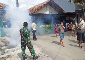 Pemdes Kaliwulu Lakukan Fogging