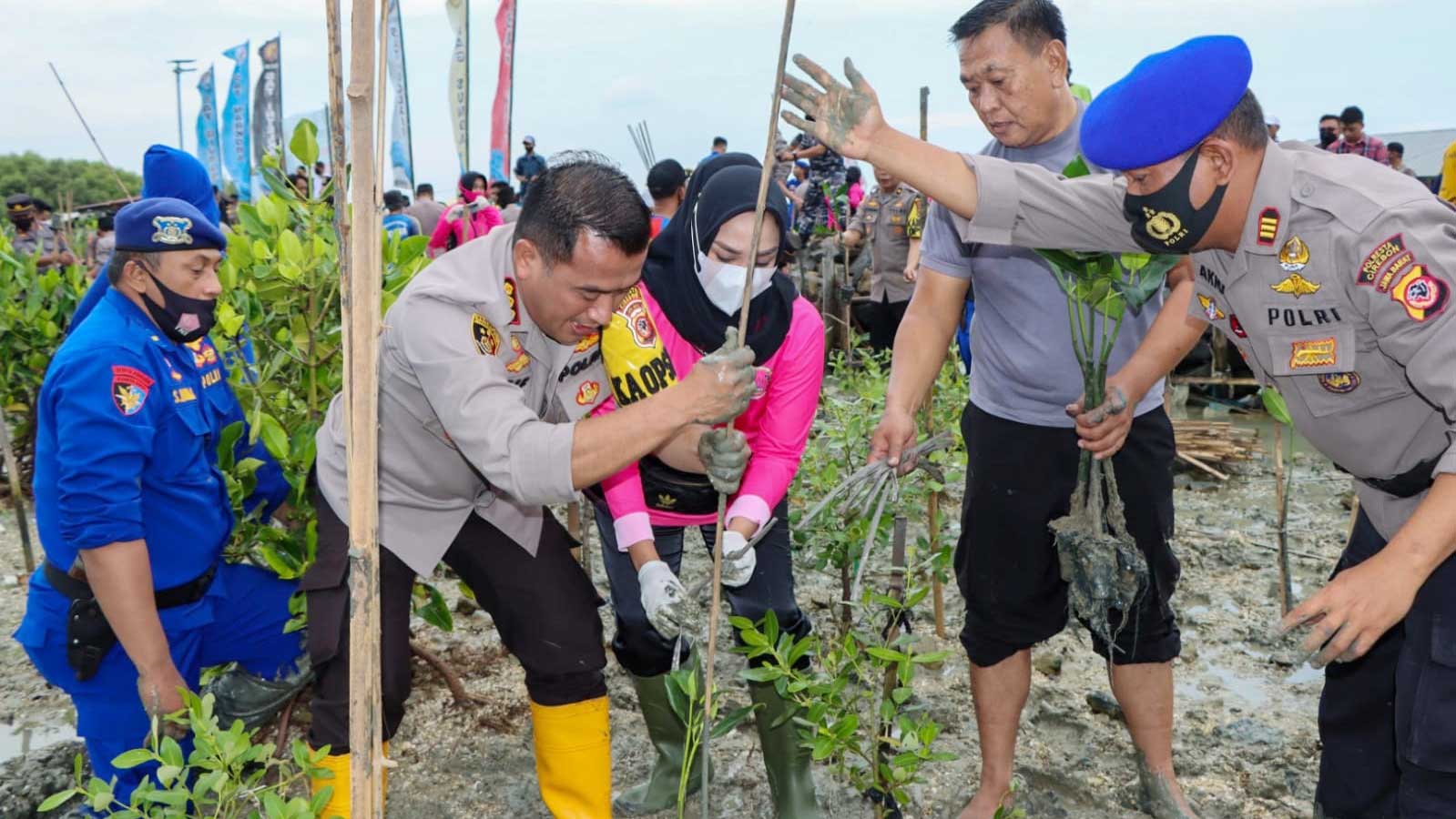 Polresta Cirebon Tanam Ribuan Mangrove Suara Cirebon