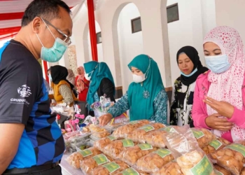 BKKBN Bantu NIB untuk Keluarga Akseptor KB