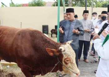 Puluhan Hewan Kurban Didistribusikan Polresta Cirebon ke Pondok Pesantren