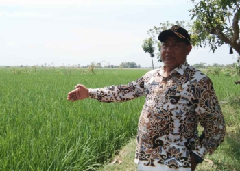 Lahan-Potensial-Desa-Karanganyar