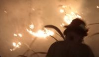 Lahan-Tebu-Rakyat-di-Astanajapura-Terbakar
