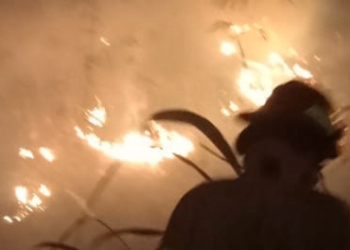 Lahan-Tebu-Rakyat-di-Astanajapura-Terbakar