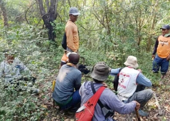 Sutono Hilang di Hutan Sumurkondang Cirebon Saat Mencari Kroto