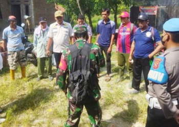 Warga Cirebon Hilang di Hutan Saat Mencari Kroto, Radius Pencarian Sutono 600 Hektare