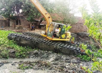 Dipenuhi Eceng Gondok, Kali Trwuu Dinormalisasi