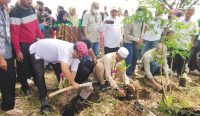 Wisata Mangrove Pengarengan Butuh Dukungan Swasta