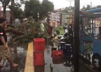 Angin Puting Beliung “Mengamuk” di Majalengka, Bangunan Rumah Ambruk, Pohon Tumbang Timpa Gerobak dan Sepeda Motor