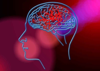 Cek Otak Kita Berisiko Stroke atau Tidak, Caranya Gampang Banget, Hanya 10 Detik, Begini Nih