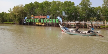 Ekowisata Mangrove Caplok Barong di Desa Ambulu Kecamatan  Losari Tawarkan Pariwisata Asri