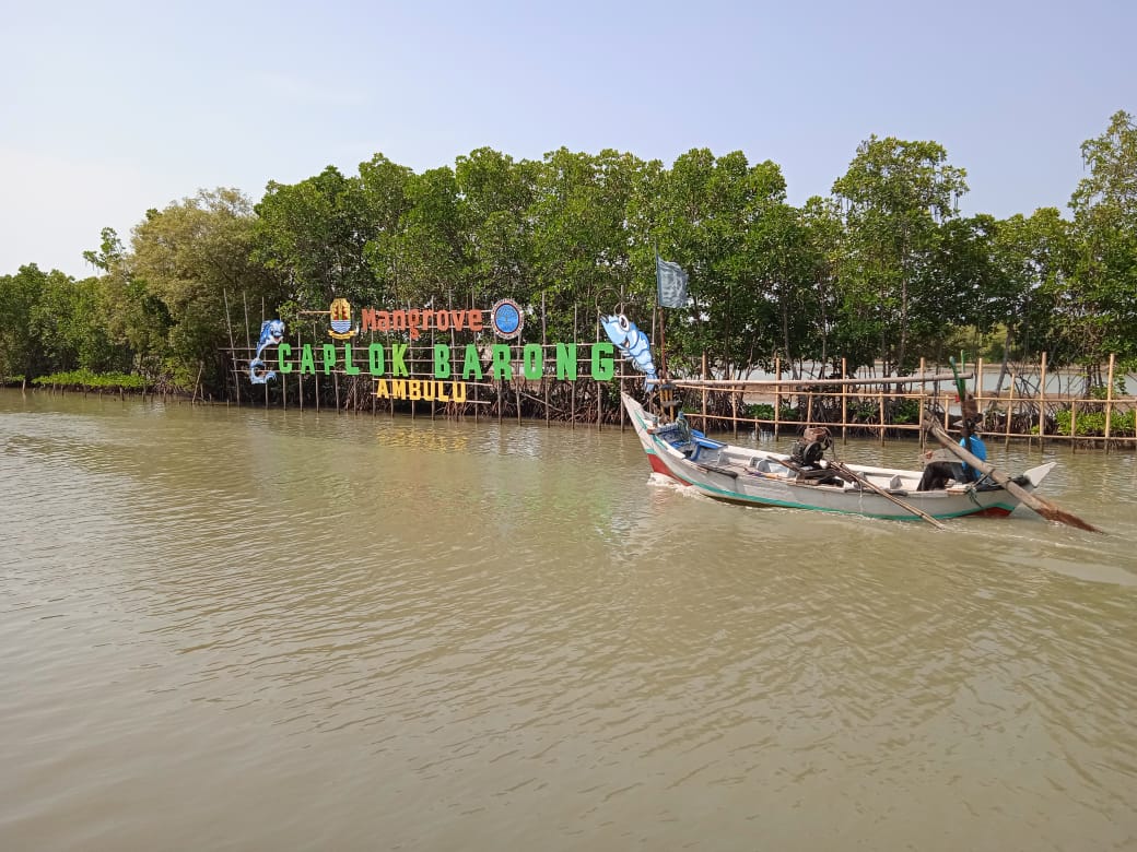 Foto: Ekowisata Mangrove Ambulu - Suara Cirebon