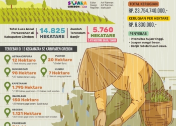 5.760 Hektare Sawah di Kabupaten Cirebon Terdampak Banjir, Kerugian Capai Rp23,7 Miliar