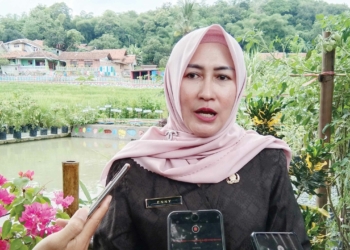 Formasi PPPK Nakes Kabupaten Cirebon dapat 2550, Anggota PPNI 750