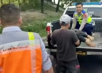 Grand Max Alami Kecelakaan di Tol Cipali saat Hindari Lobang Kecil, 2 Balita dan 1 Dewasa Tewas