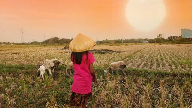 195 Desa dari 29 Kecamatan di Kabupaten Cirebon Rawan Kekeringan Agustus hingga September 2023 Dampak El Nino