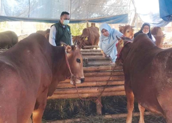 33 Petugas DKPPP Sisir Lapak Penjual Hewan Kurban di Cirebon