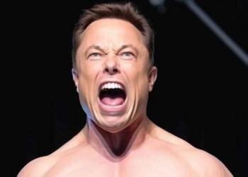 Pesan Unik Elon Musk Ternyata Jawaban Twitter Eror