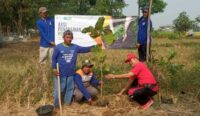 Camat dan Rumah Zakat Tanam 300 Bibit Pohon, Bukti Komitmen Melestarikan Lingkungan Hidup