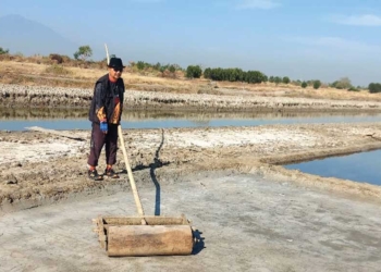 Harga Garam Anjlok, Petambak Kelimpungan